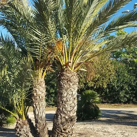 Lägenhet Sol Y Playa En San Juan *
